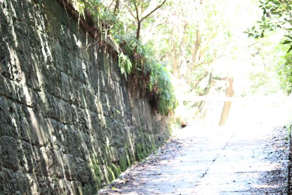 ファイル名: IMG_3488.jpg
ファイルサイズ: 55.9KB IMG_3488