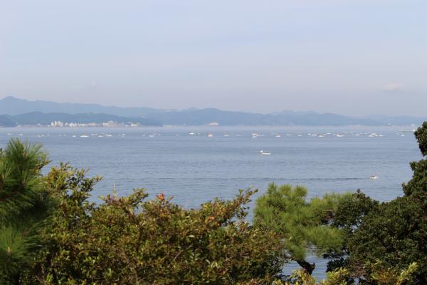 ファイル名: IMG_4021.jpg
ファイルサイズ: 32.5KB IMG_4021
