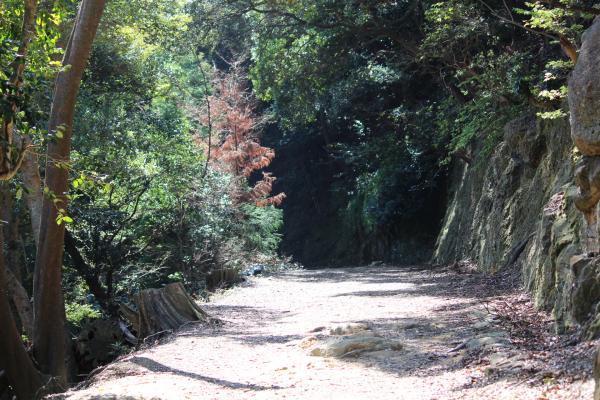 ファイル名: IMG_3212.jpg
ファイルサイズ: 67.5KB IMG_3212