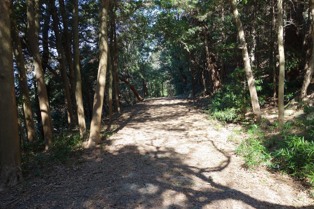 森の散策路