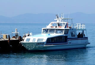 �F�����D�D�@�Ƃ������܍�